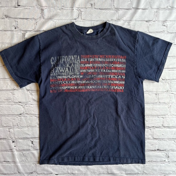 Jerzees Other - Jerzees VTG Y2K USA Destination States Mesium Mens T-shirt 
Good vintage